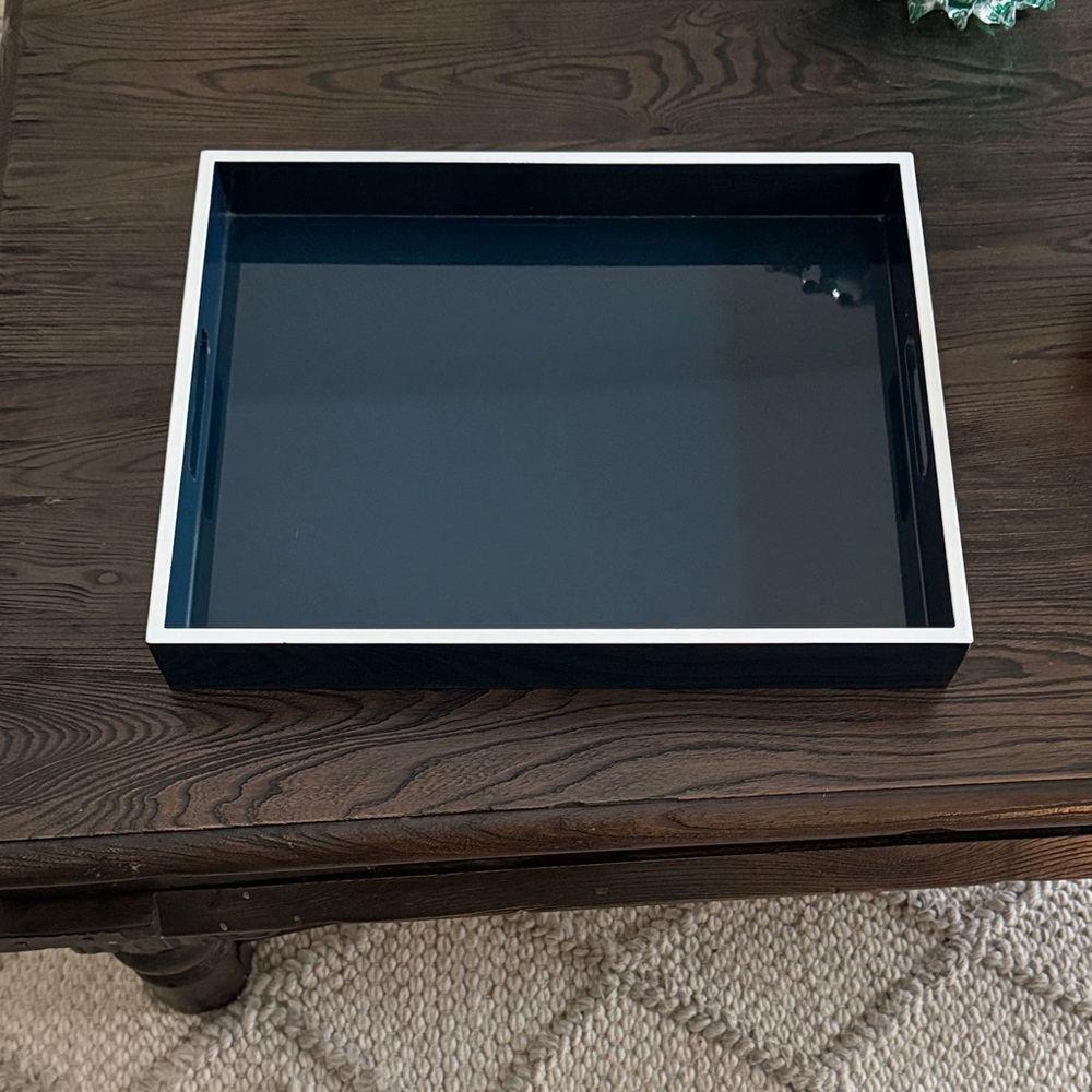 West Elm blue Tray